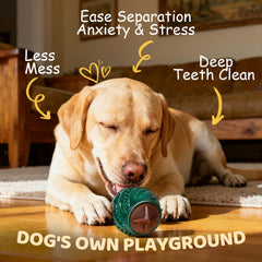 ChienPlay jouet prêt à jouer sans montage pour votre chien.