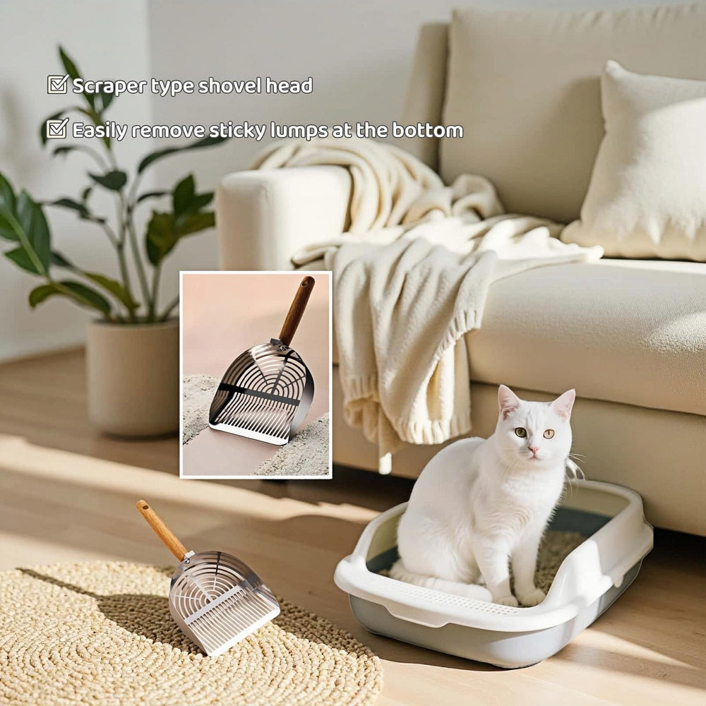 Taille 6.1x5.3 pouces Chinshwehaw adaptée aux boîtes standards