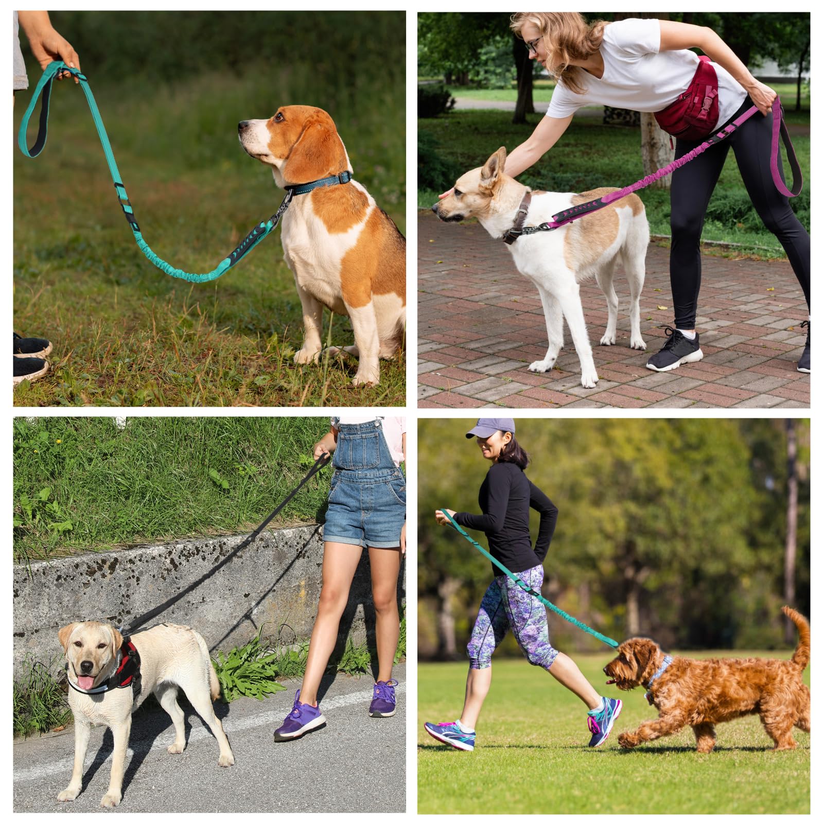 Laisse Chioratree en nylon durable pour chiens moyens à grands et longues balades.