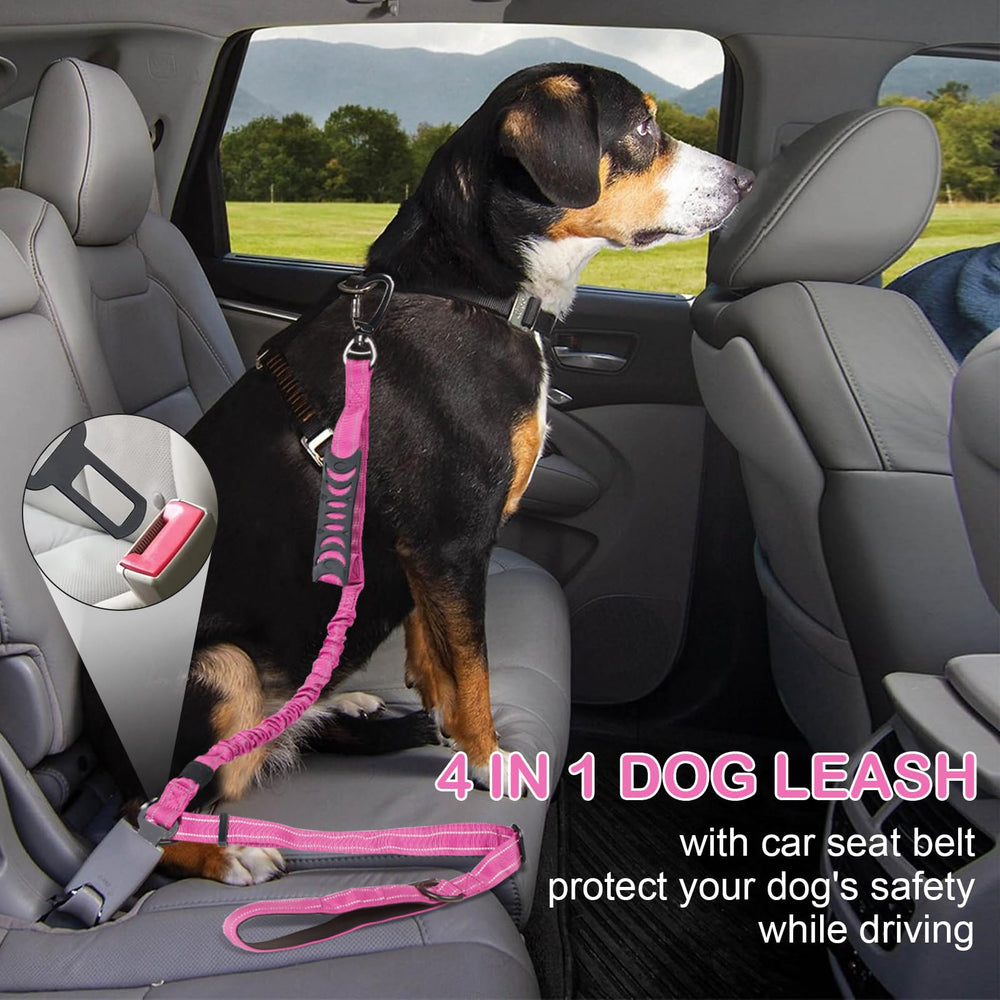Laisse Chioratree avec poignée de contrôle trafic pour guider votre chien pendant l'entraînement.
