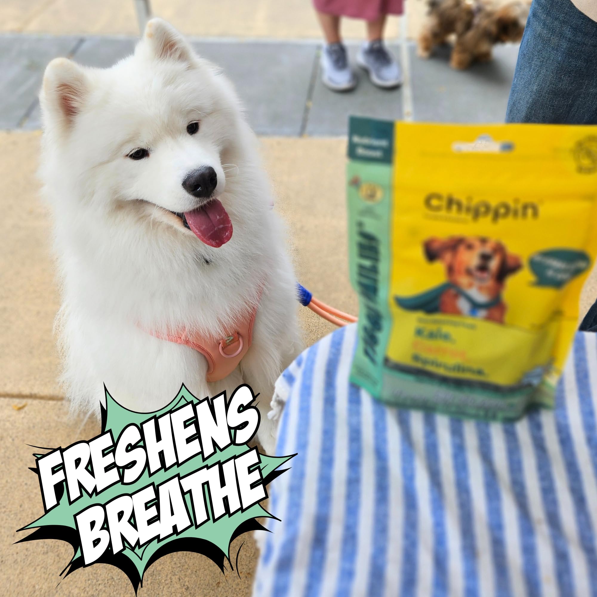 Chipin biscuit formation-nutrition, améliore le quotidien des chiens lors des entraînements.