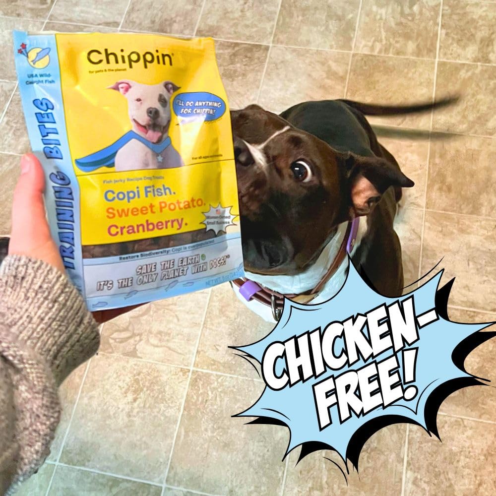 Chippin: carpe argentée, protéines élevées pour chiens