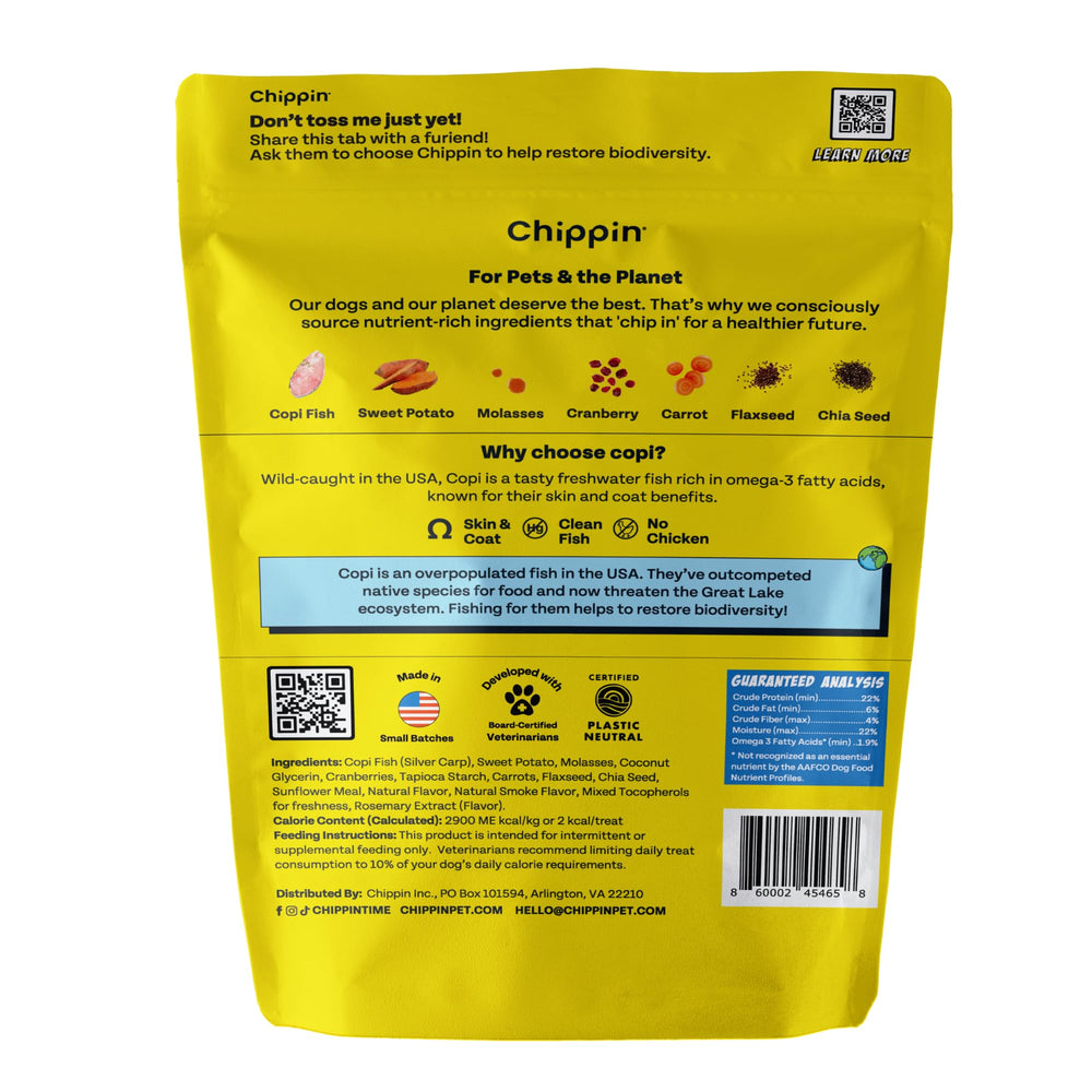 Chippin: usage quotidien en entraînement et récompenses
