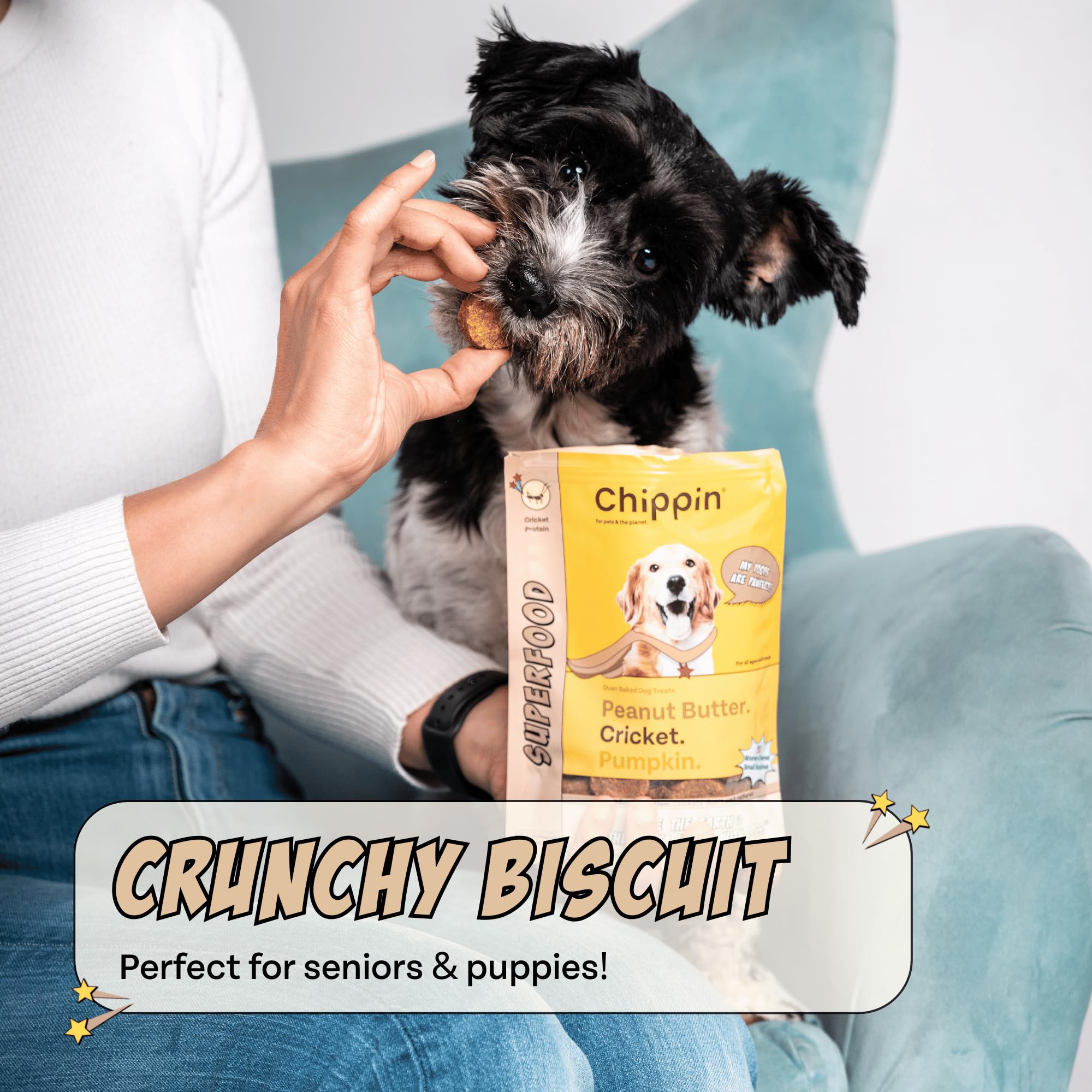Chippin: biscuits avec protéine de cricket, alternative hypoallergénique pour chiens sensibles.
