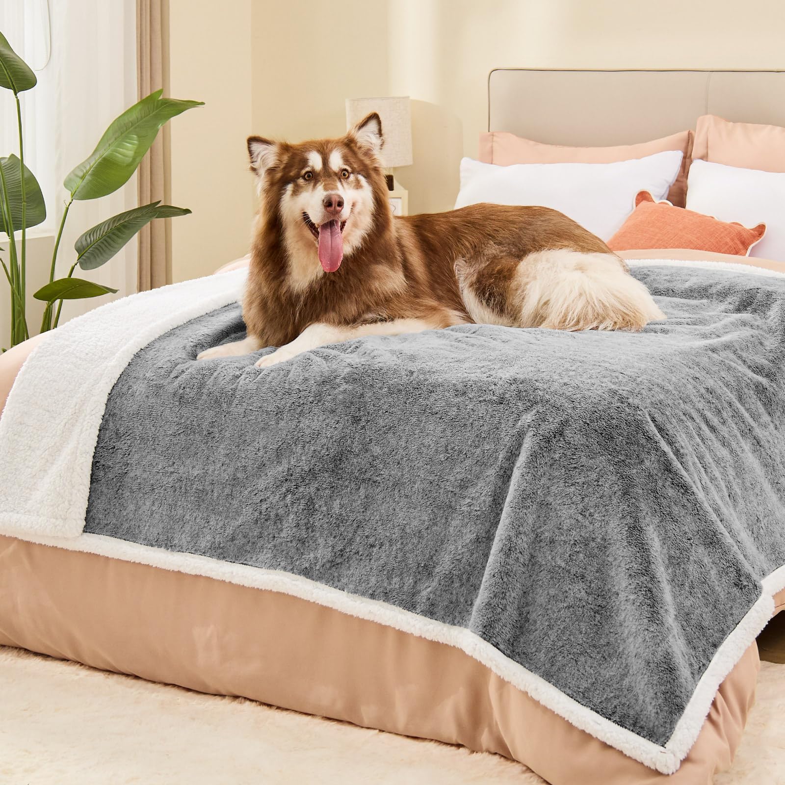 ChiXnuggle couverture chien vue d'ensemble, protection et confort.