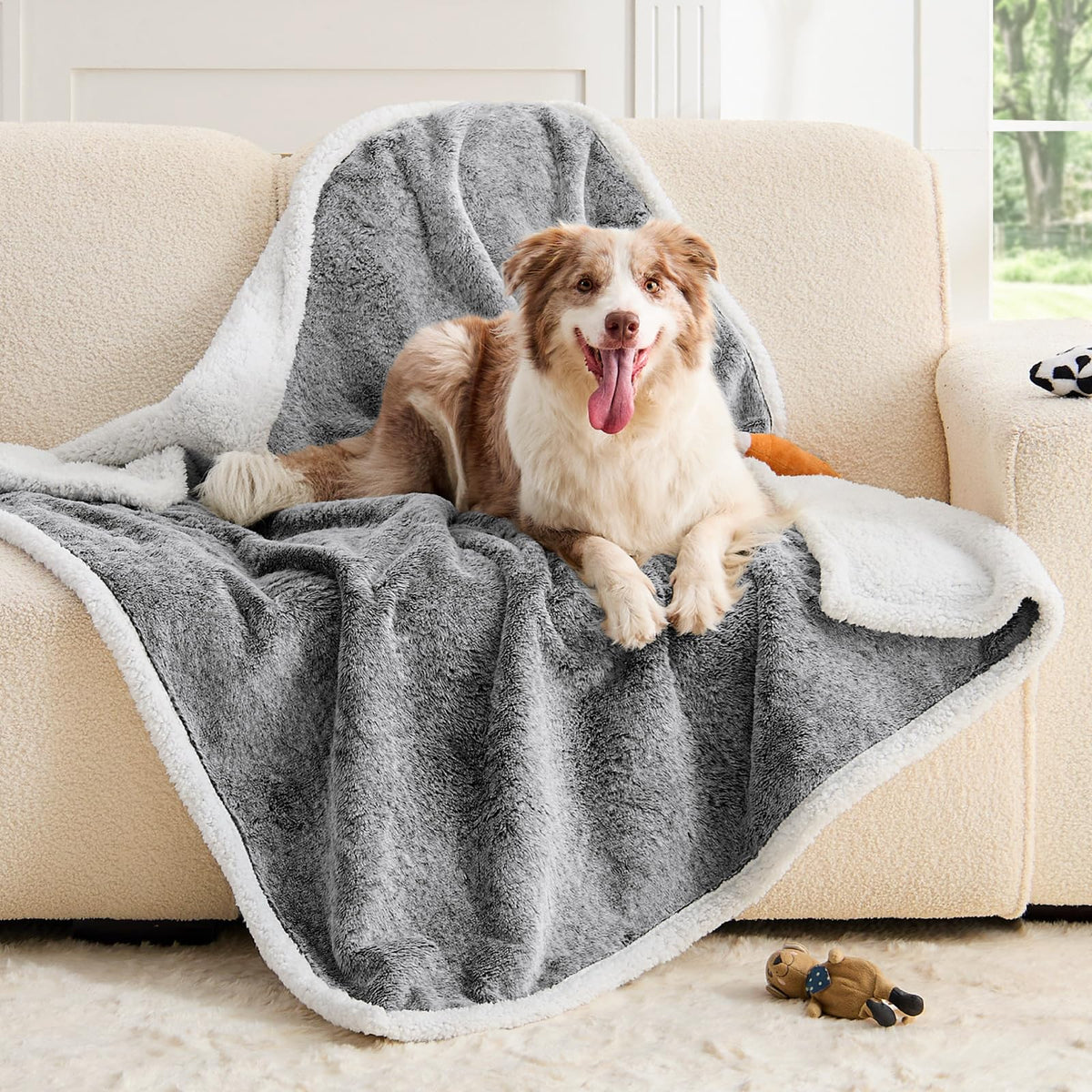 ChiXnuggle couverture chien grand imperméable, protection durable contre les liquides sur canapé