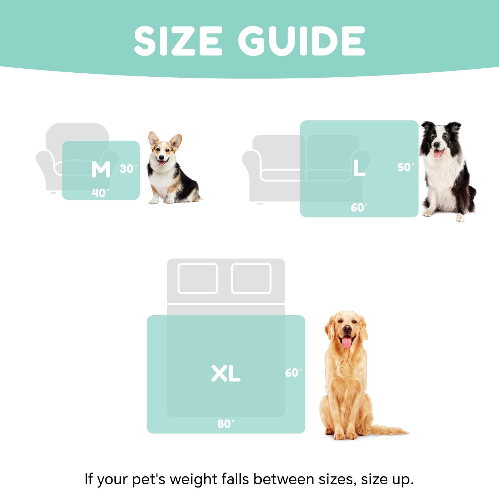 ChiXnuggle portable-voyage-pliable, pratique en déplacement