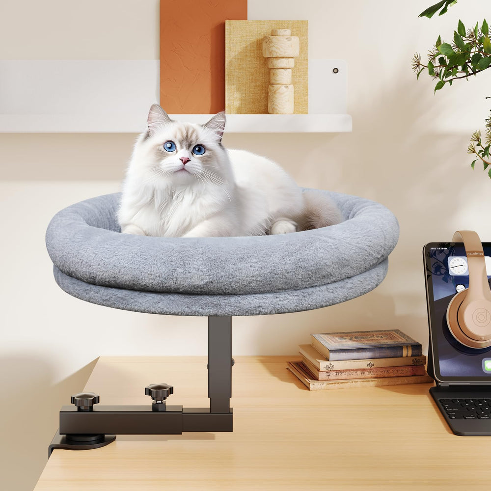 Chloraeon montage-au-bureau: installation rapide pour profiter du confort du chat.