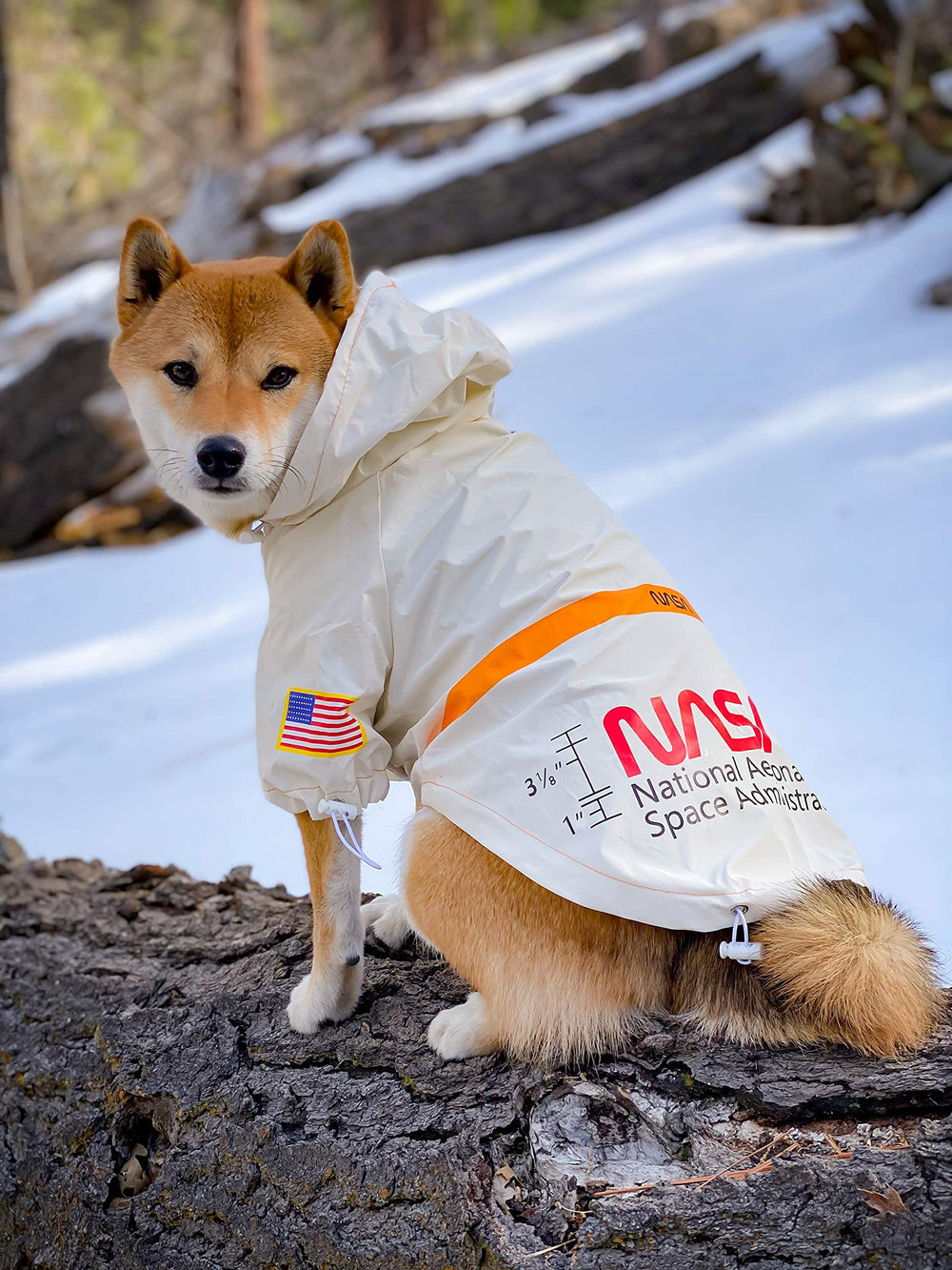 ChoChoCho NASA costume-chien, style streetwear pour sorties quotidiennes.
