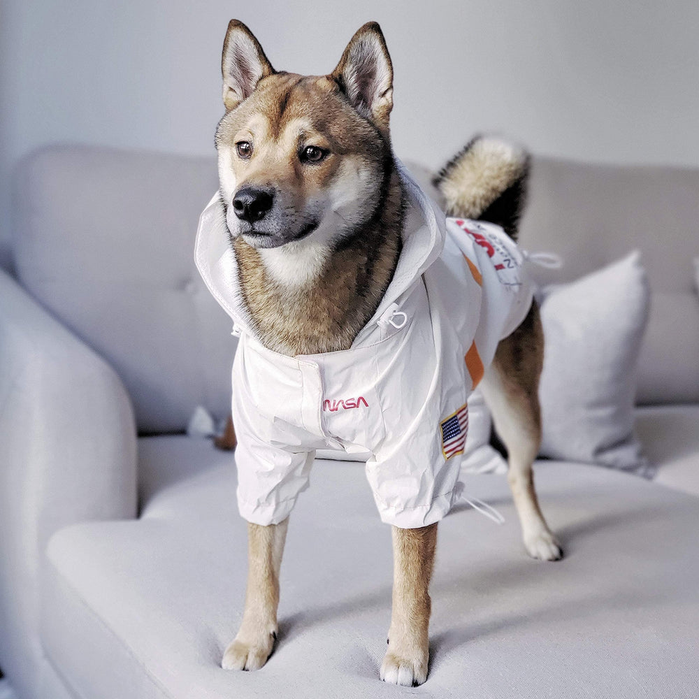 Manteau ChoChoCho NASA pour chien, fermeture velcro facile à mettre.