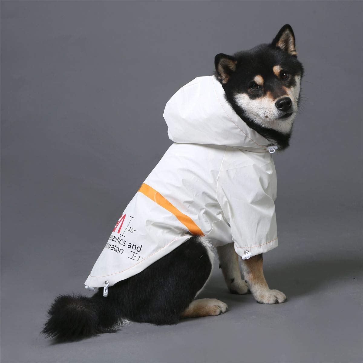 Manteau ChoChoCho NASA pour chien, visibilité réfléchissante pour promenades.
