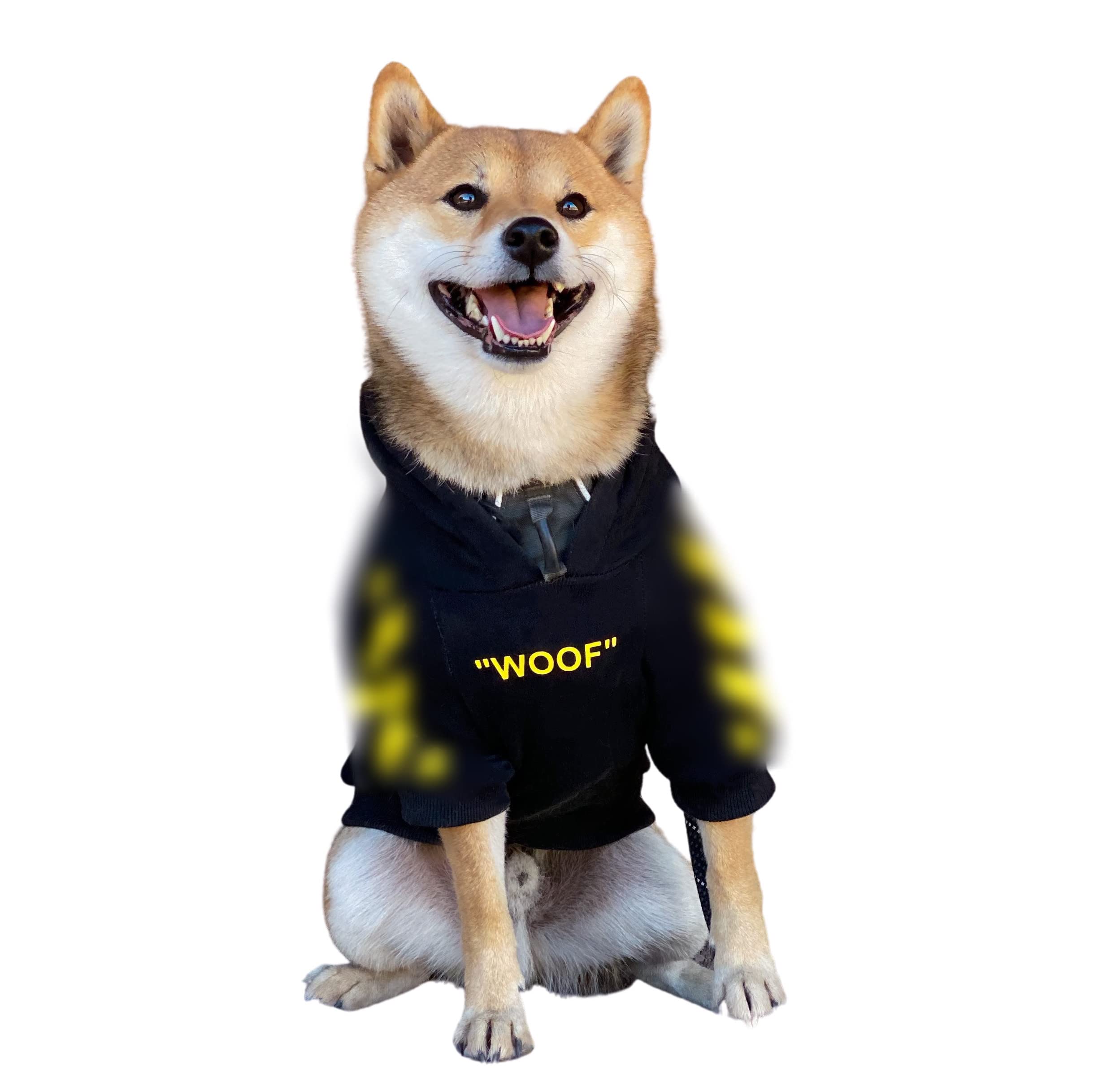 Hoodie ChoChoCho capuche chien jaune en mode rue, confort quotidien