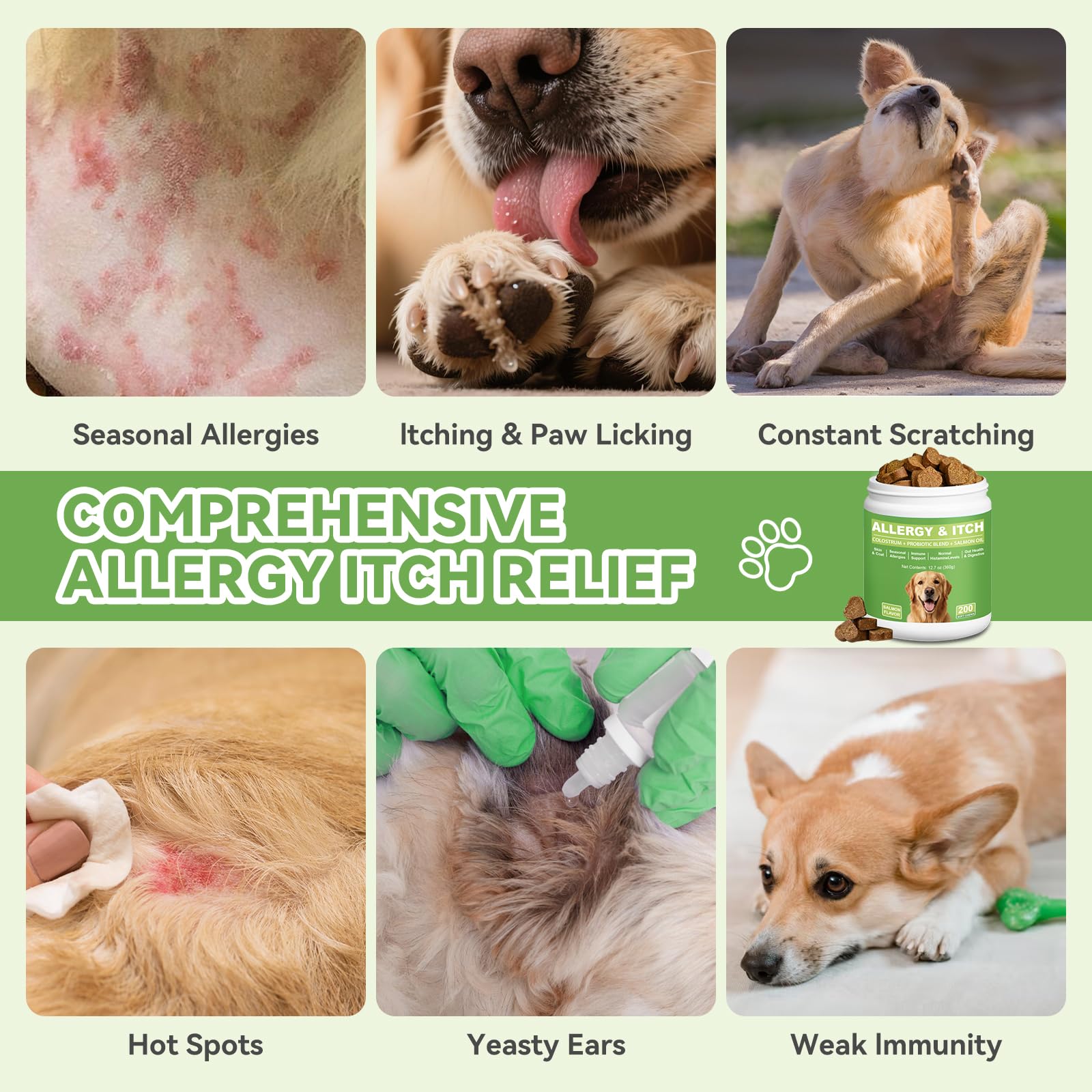 Ingrédients Colostrum et saumon pour le soutien nutritionnel des chiens.