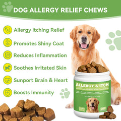 Texture moelleuse des Chews ChoHeel facilitant l’acceptation quotidienne.