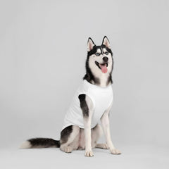 Chol&Vivi haut gris pour chien, vue arrière, ajustement flexible lors de l'activité.