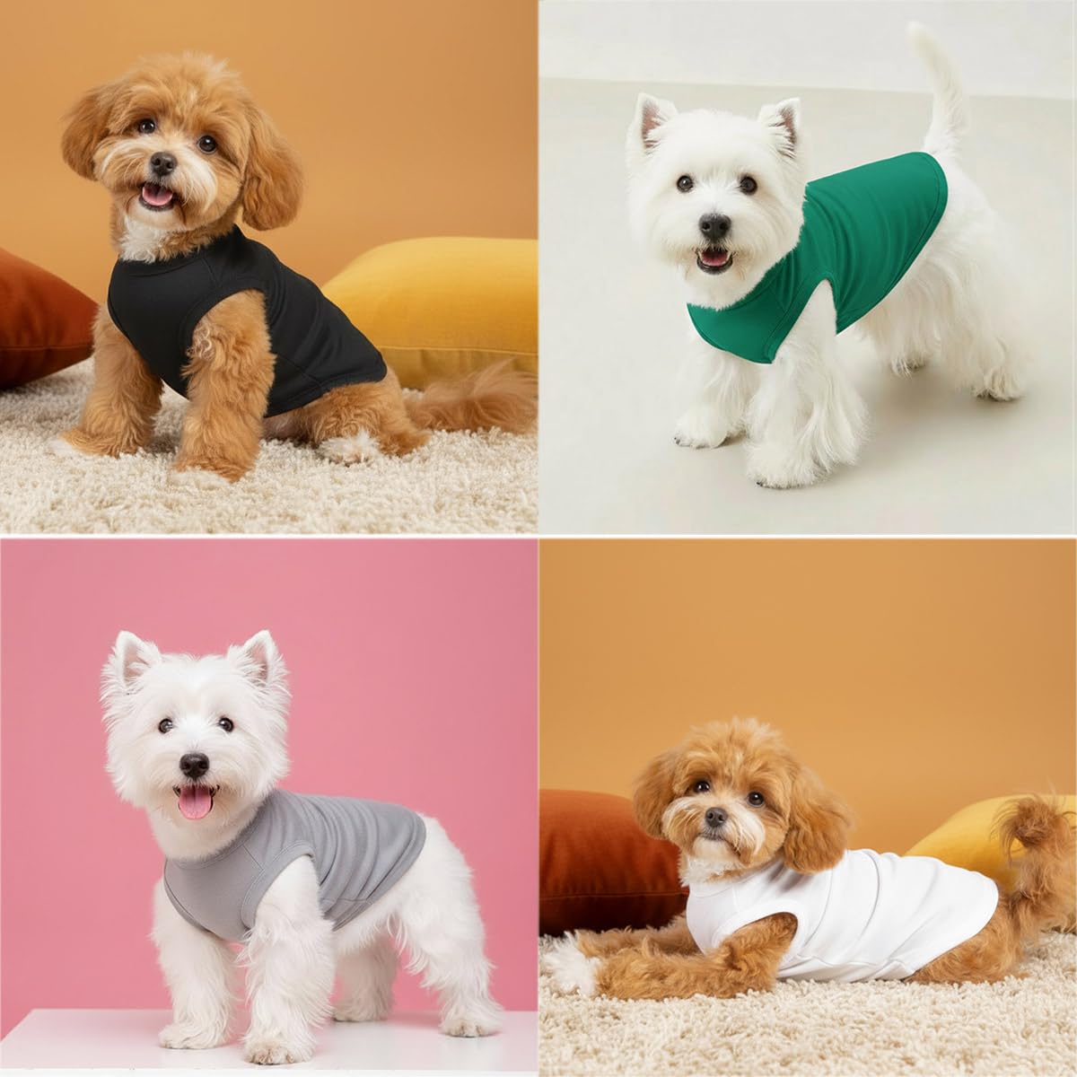 Chol&Vivi haut noir pour chien, vue arrière, ajustement durable en jeu.