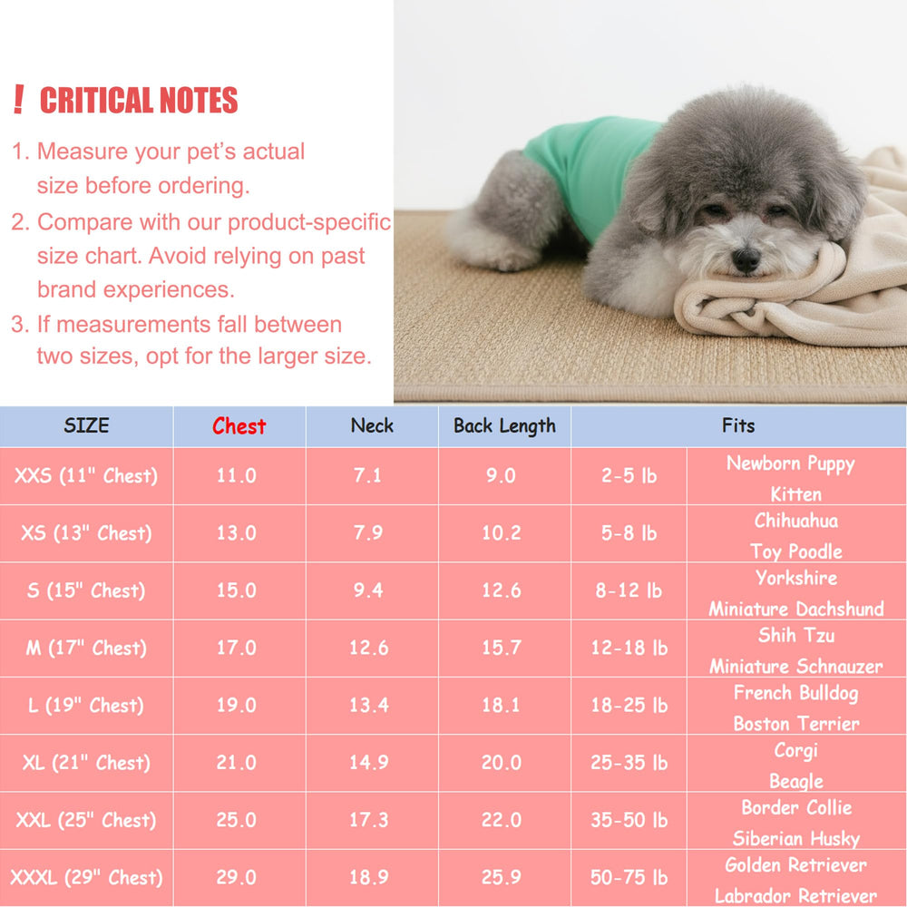 Chol&Vivi haut vert-foncé pour chien, vue avant, couleur polyvalente pour toutes les sorties.