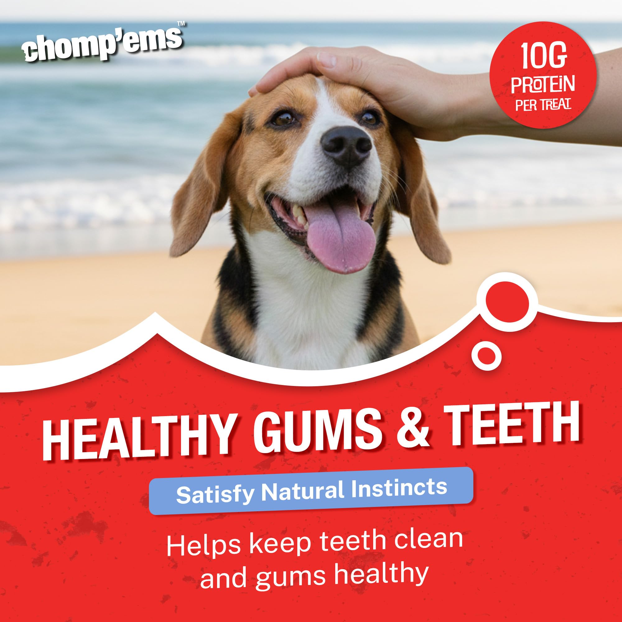CHOMP 'EMS protéines élevées pour chien, soutien potentiel à l énergie