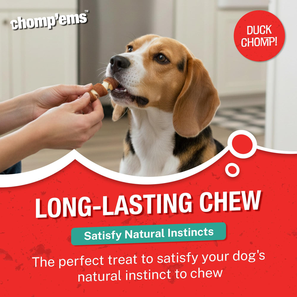 Chomp’ems friandises chien dans bol : parfaite collation.