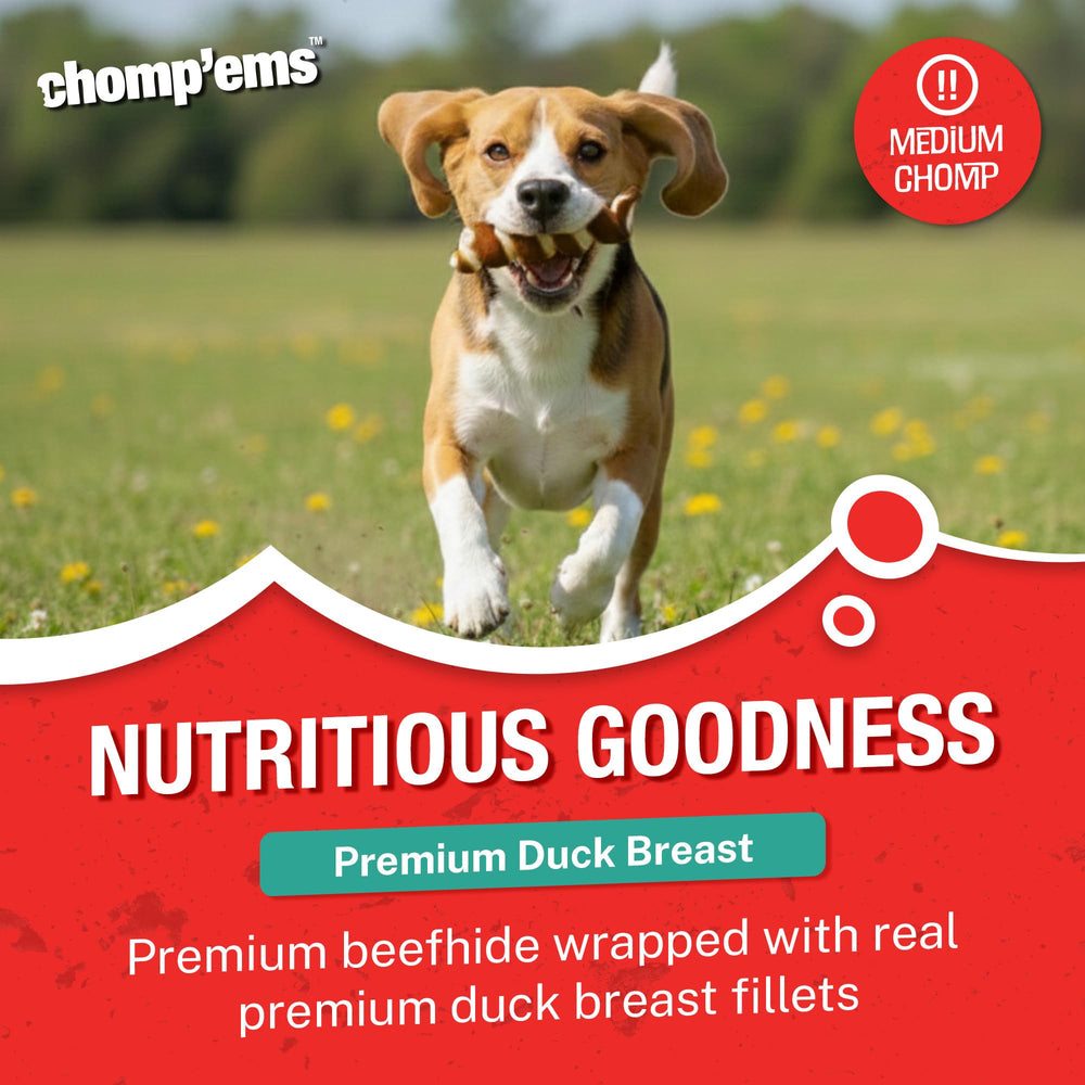 Chomp’ems filet de canard gros plan : tranche délicate et savoureuse.