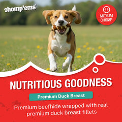 Chomp’ems filet de canard gros plan : tranche délicate et savoureuse.