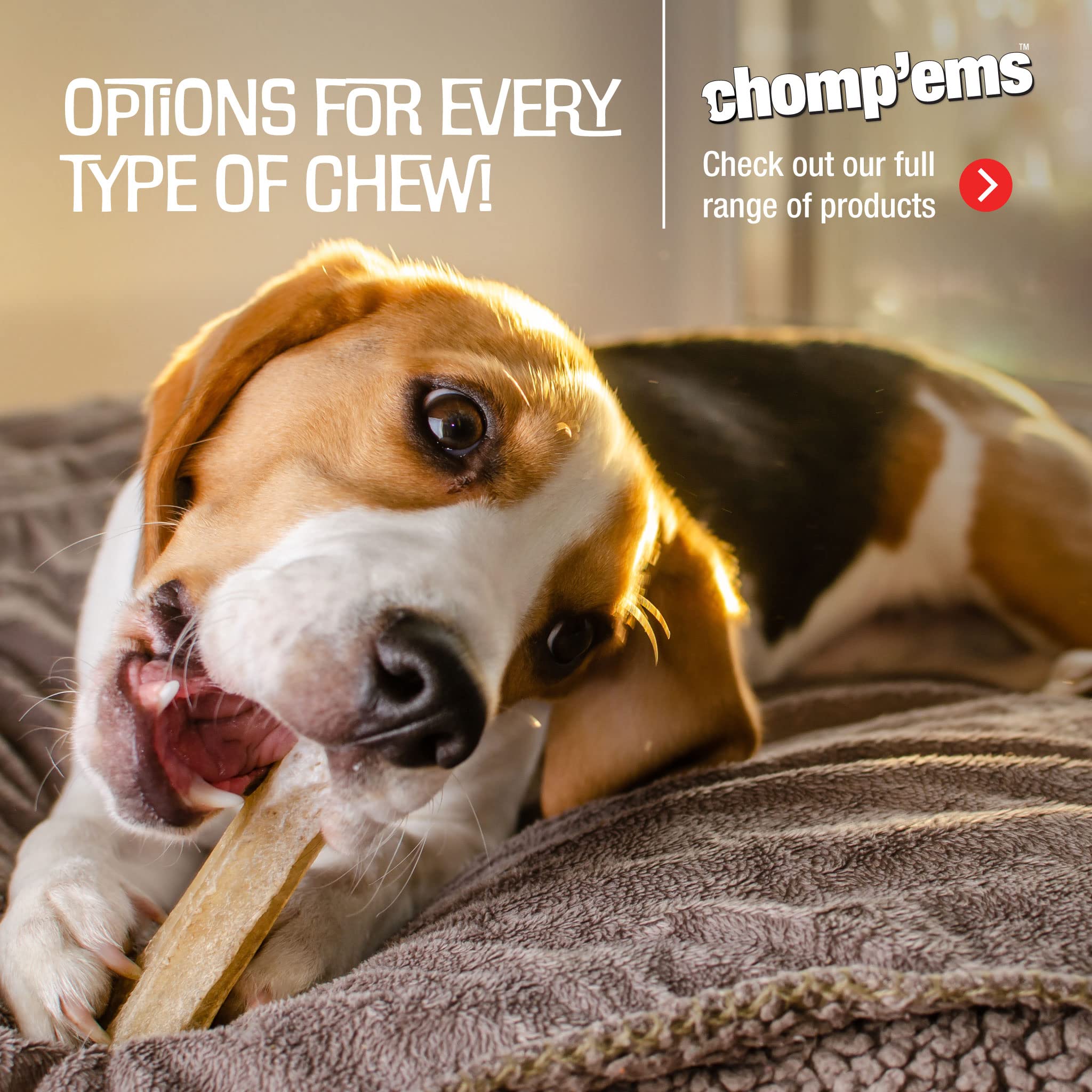 CHOMP'EMS Idee-cadeau Canard, cadeau gourmand pour chien.