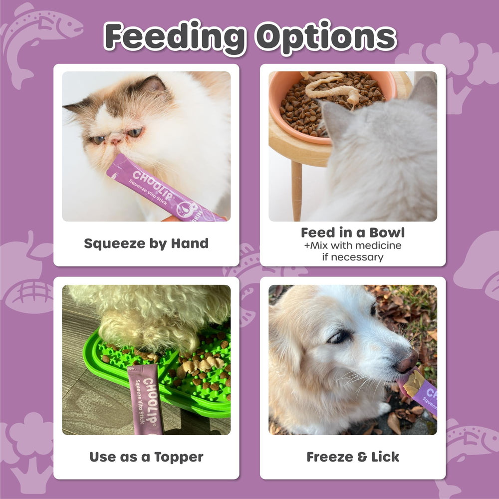 Choolip Squeeze Vita Stick adapté chats et chiens, utilisation polyvalente