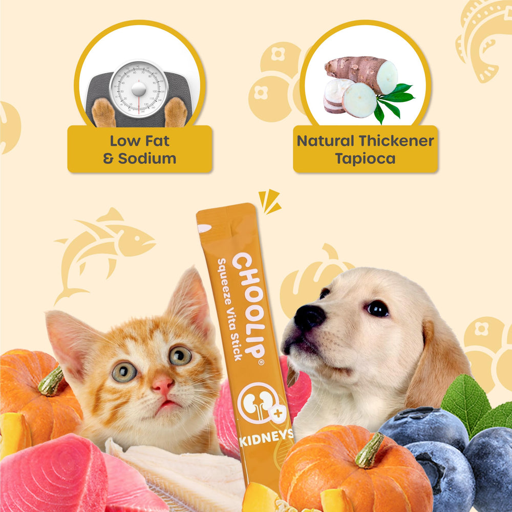 Choolip Squeeze Vita Stick canneberge, soutien urinaire et antioxydants naturels.