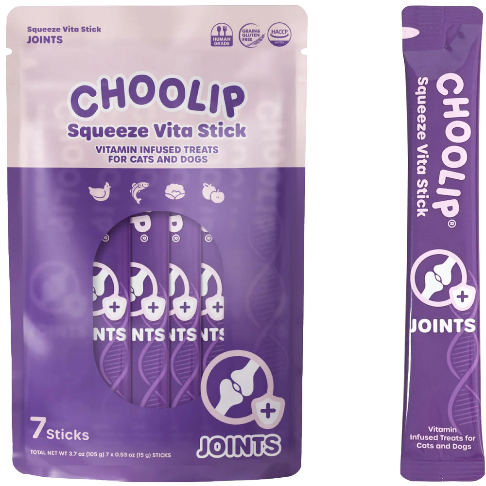 Choolip Squeeze Vita Stick pour chat dégustant purée poulet-saumon, récompense hydratante.