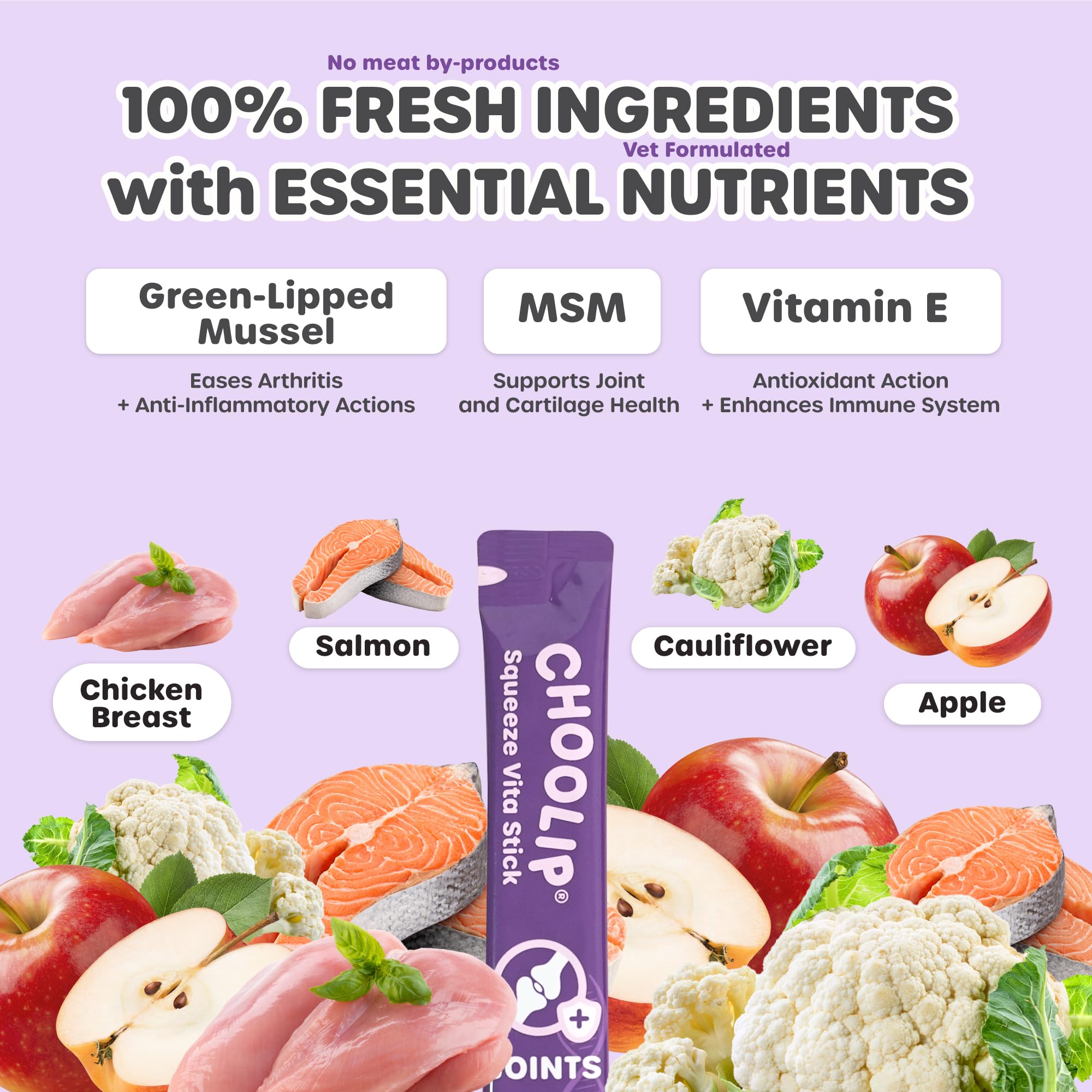 Choolip Squeeze Vita Stick pour chien dégustant purée poulet-saumon, soutien mobilité possible.