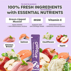 Choolip Squeeze Vita Stick pour chien dégustant purée poulet-saumon, soutien mobilité possible.