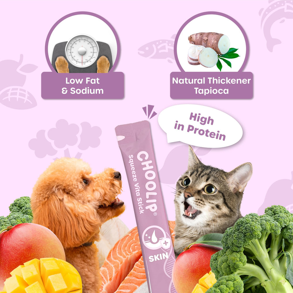 Choolip Squeeze Vita Stick congelé en cubes, friandise rafraîchissante