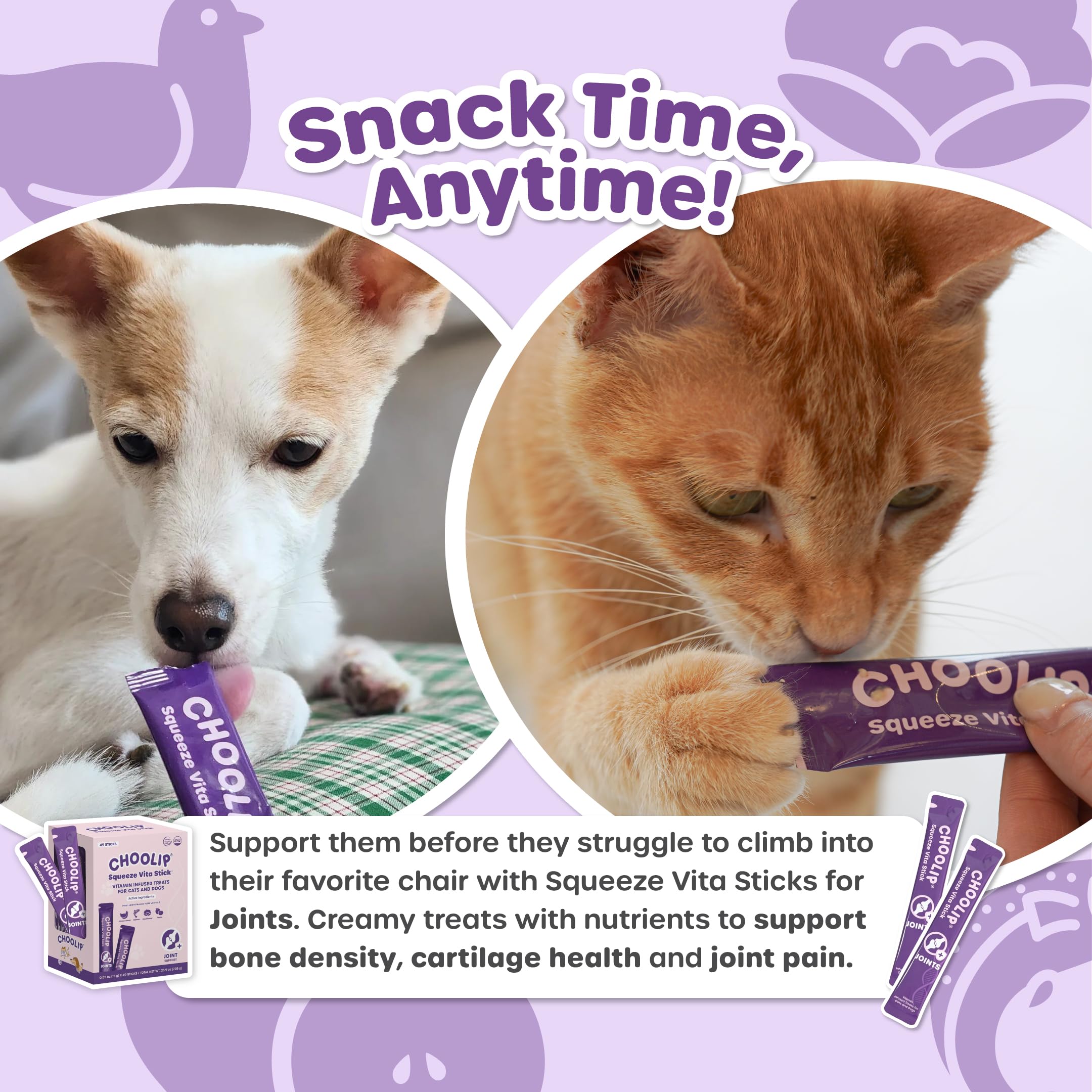 Choolip Squeeze Vita Stick – idéal pour foyers multi-animaux.