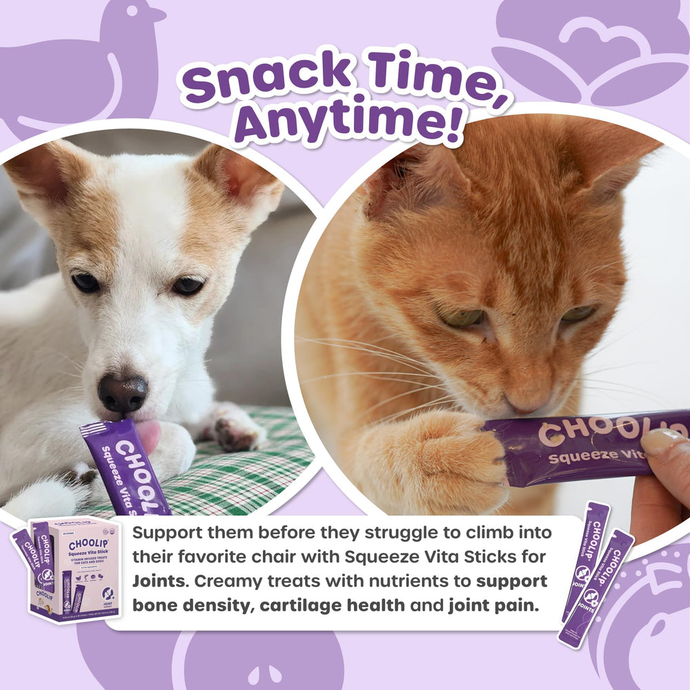 Choolip Squeeze Vita Stick – idéal pour foyers multi-animaux.