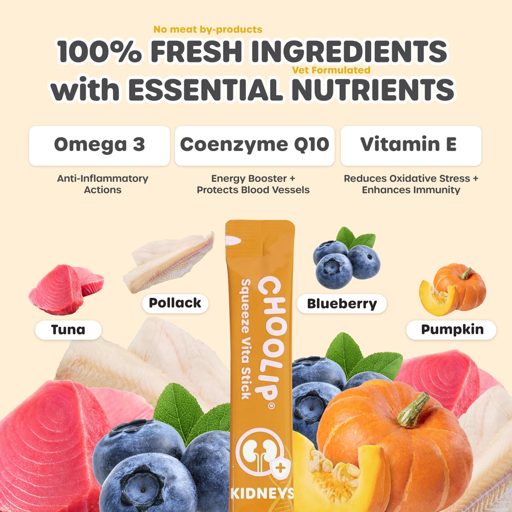 Choolip Squeeze Vita Stick potiron purée, fibres naturelles et digestion douce.