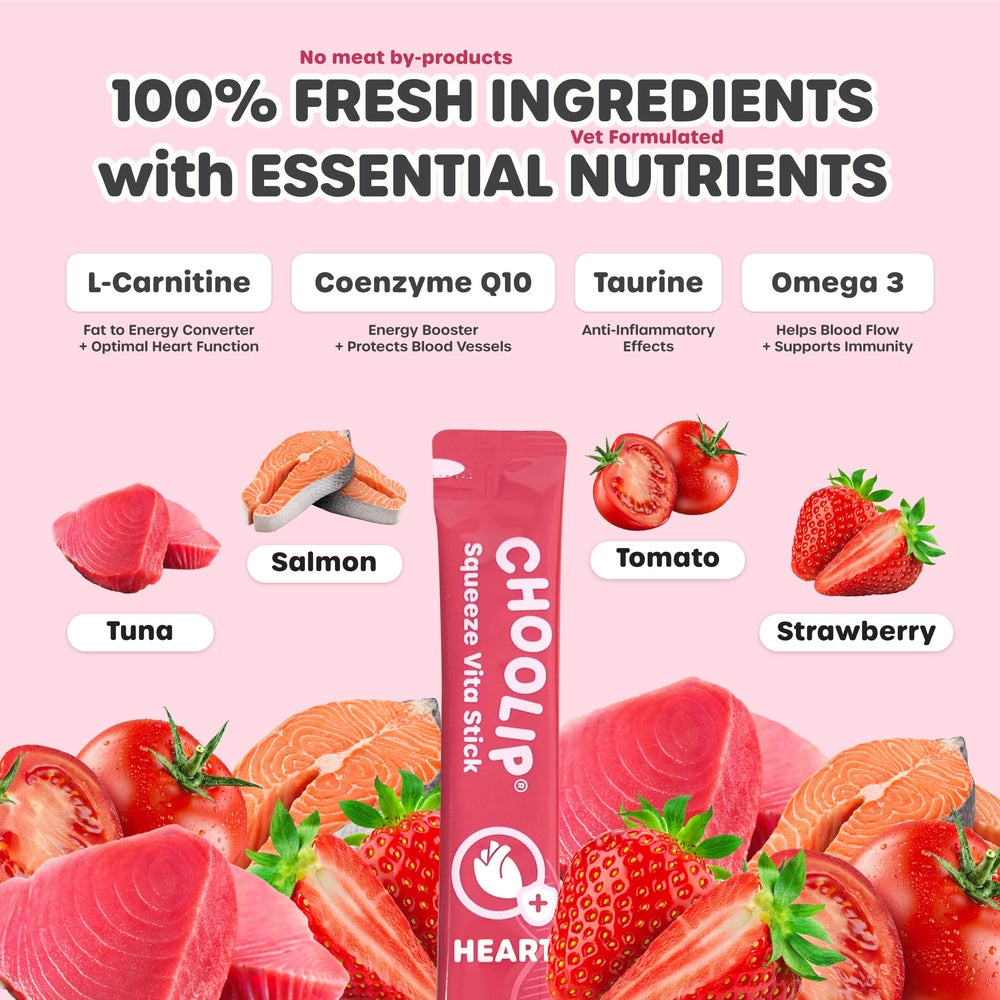 Choolip Squeeze Vita Stick – purée saumon-thon, texture humide et appétence.