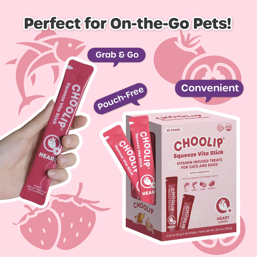 Choolip Squeeze Vita Stick – purée saumon : protéines riches pour animaux.