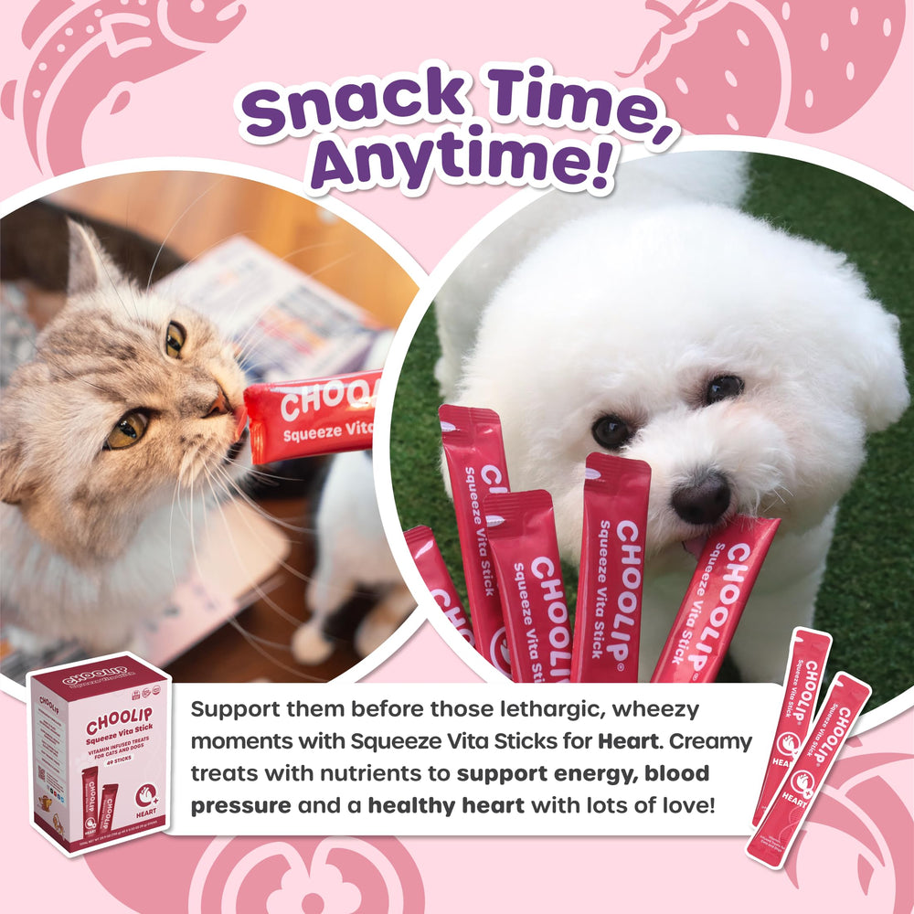 Choolip Squeeze Vita Stick – sans céréales et ingrédients propres.