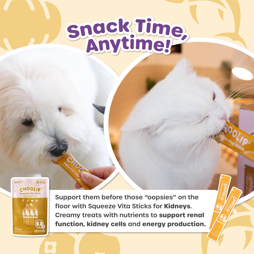 Choolip Squeeze Vita Stick sans céréales, digestion douce.