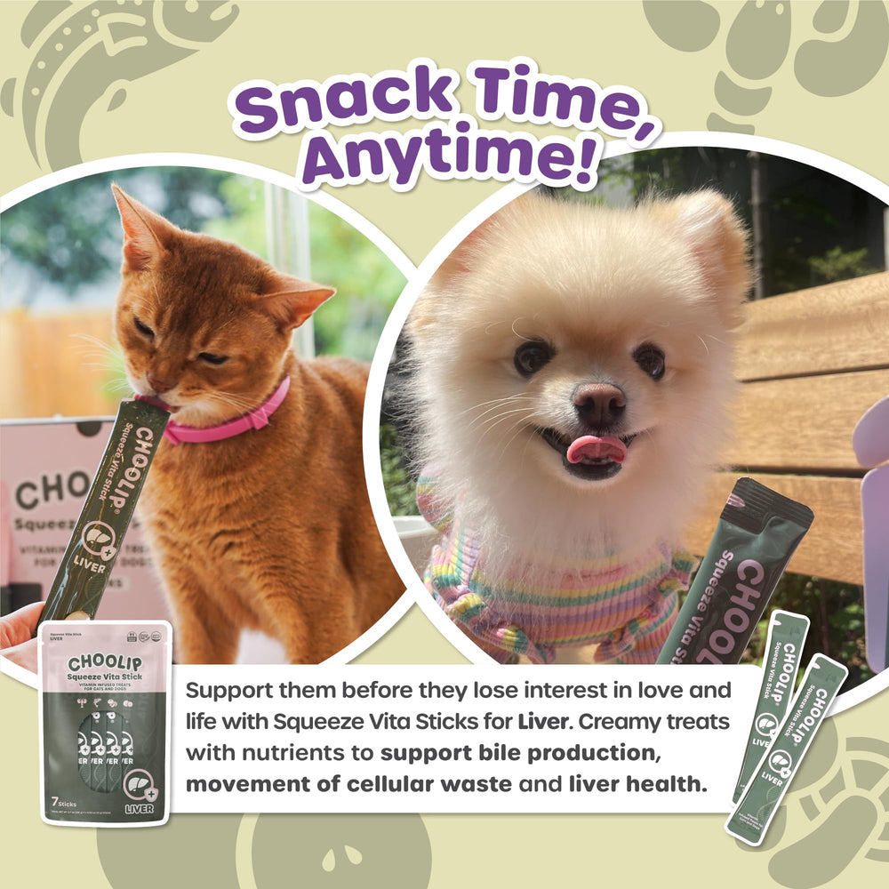 Choolip Squeeze Vita Stick: facile à servir quotidiennement pour chiens et chats âgés.