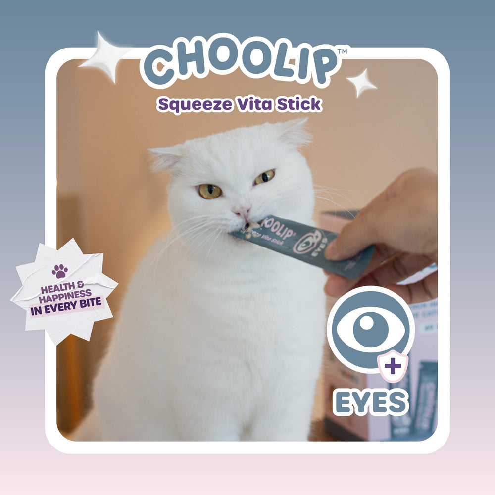 Choolip Squeeze Vita Stick seniors et animaux d intérieur