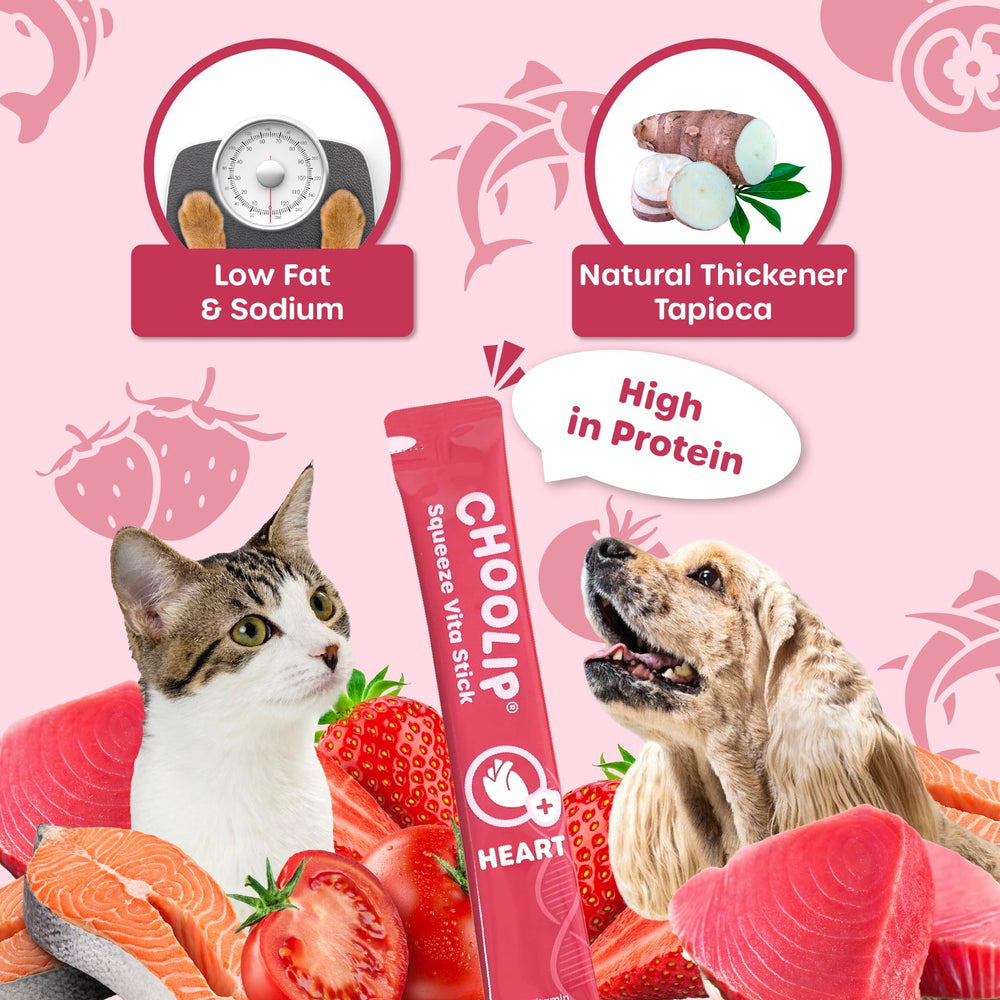 Choolip Squeeze Vita Stick – Taurine et L-Carnitine : soutien du cœur et vitalité.