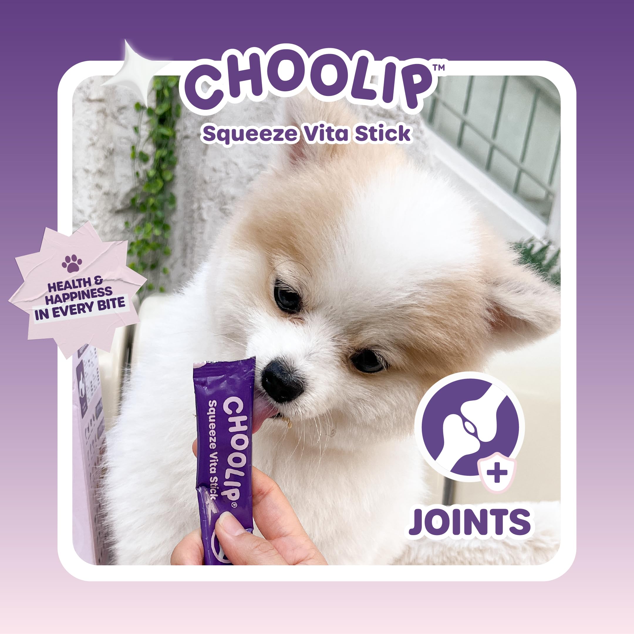 Choolip Squeeze Vita Stick usage quotidien, friandise hydratante et facile à servir.