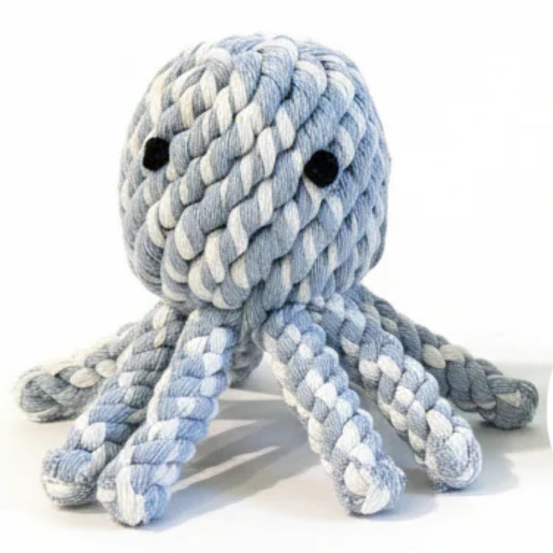 Chowabunga Ollie le poulpe: tentacules bleues pour jeux durables.