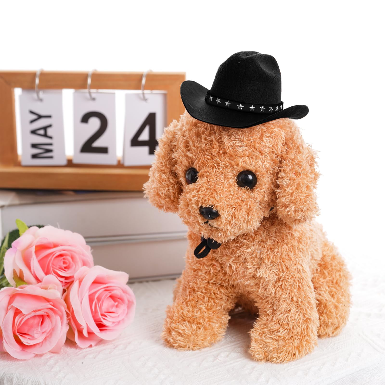 Choyaxo accessoire décoratif animal, chapeau cowboy noir petit pour fêtes.