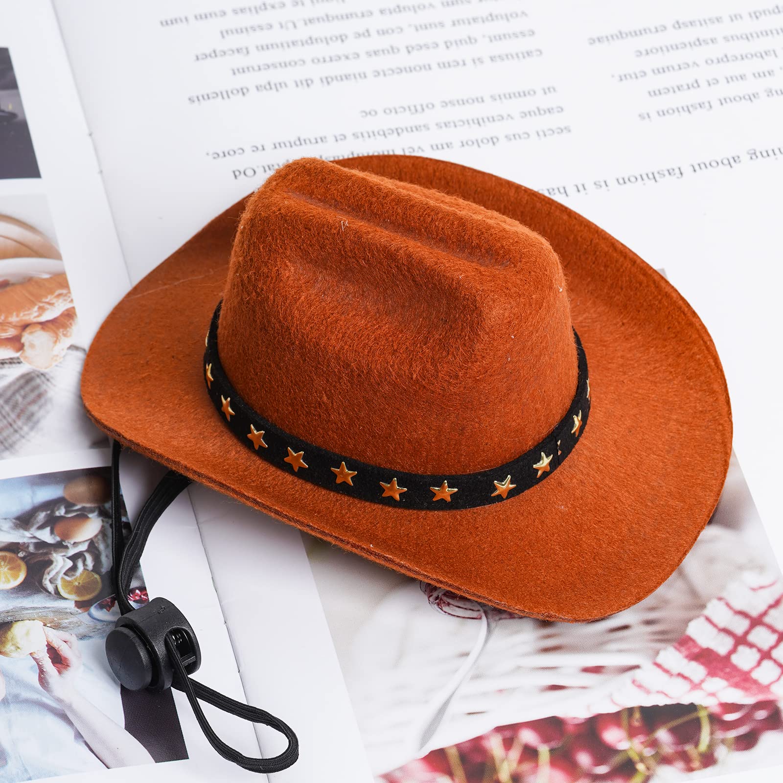 Choyaxo chapeau cow-boy sur un chien brun porteur lors d’une séance photo
