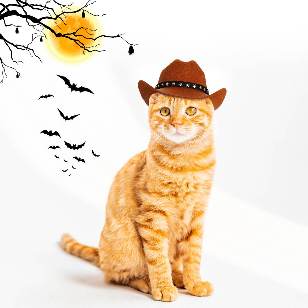 Choyaxo chapeau cow-boy déco fête western prêt à ajouter du style