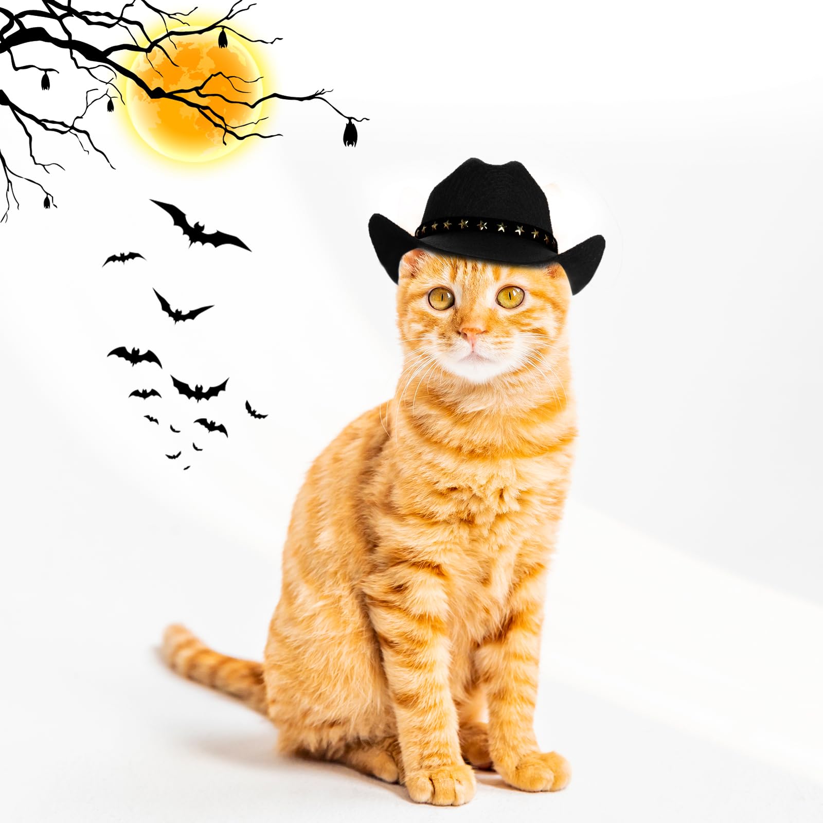 Choyaxo chapeau cow-boy noir pour animal, prêt pour séance souvenir.
