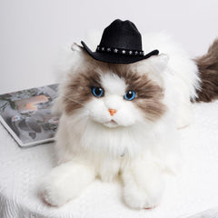 Choyaxo chapeau cowboy noir petit pour déguisement canin ou félin.