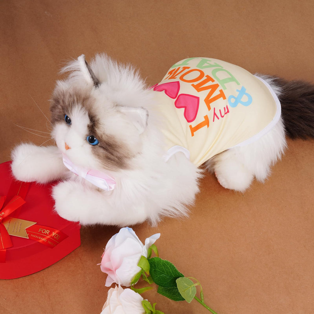 Ensemble de vestes choyaxo sans manches pour petits chiens et chatons.
